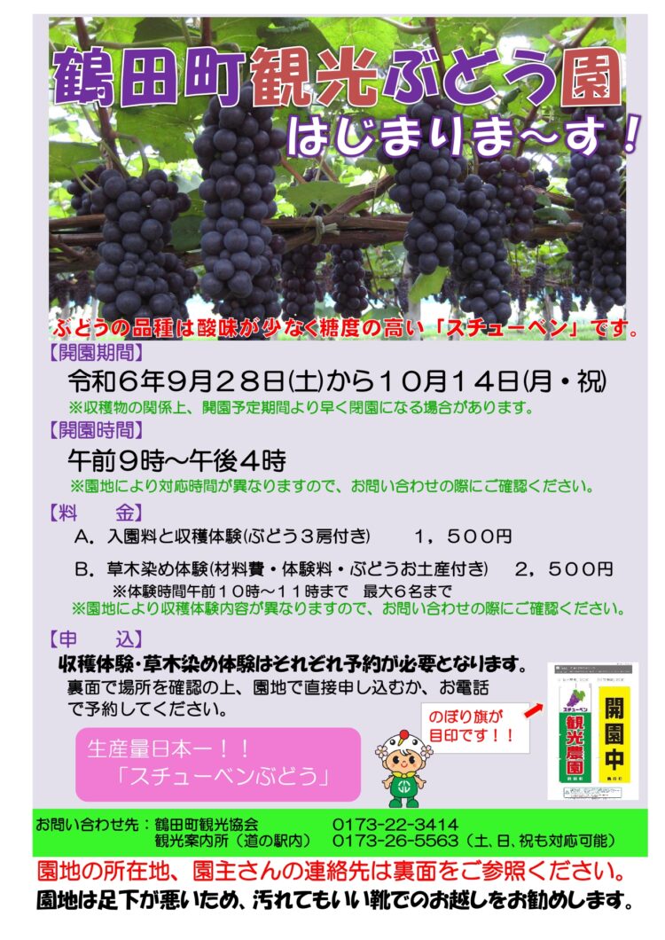 スチューベンぶどうの収穫体験・草木染め体験 チラシ