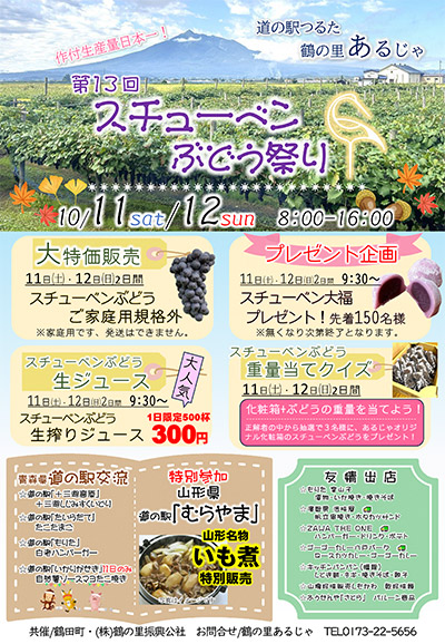 第13回スチューベンぶどう祭り チラシ